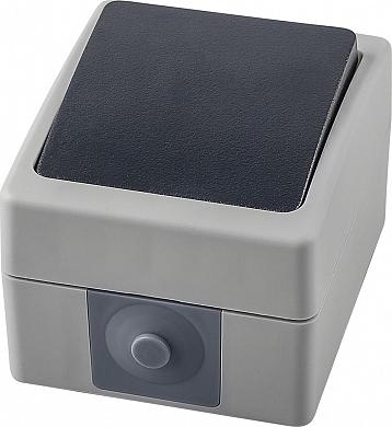 Переключатель ОП 1-кл., 250В, 10А, IP54, Ферон,серый/гр